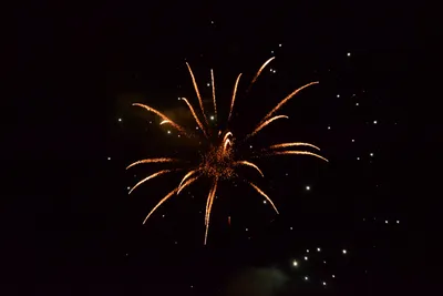 DSC_3385 (Large).JPG